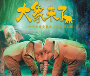 大型史詩紀實木偶劇《大象來了》