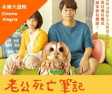 Everything Will Be Owlright!