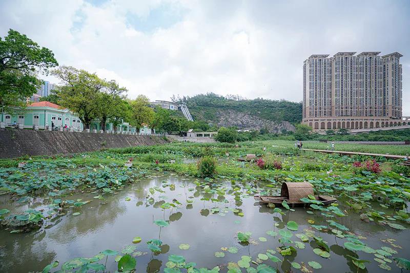 Ecological Trail and Ecological Pond in Avenida da Praia of Taipa